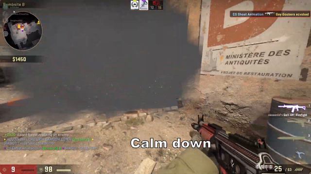 STOP FLASHING ME ! ! ! [CSGO] смотреть онлайн