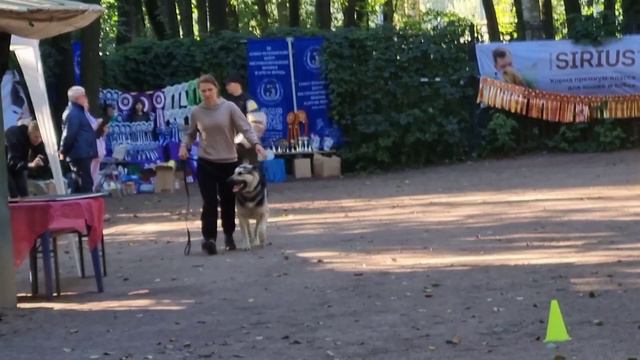 Барвиттера Тродос ПРК 21.09.24 ЦВЕО смотреть онлайн