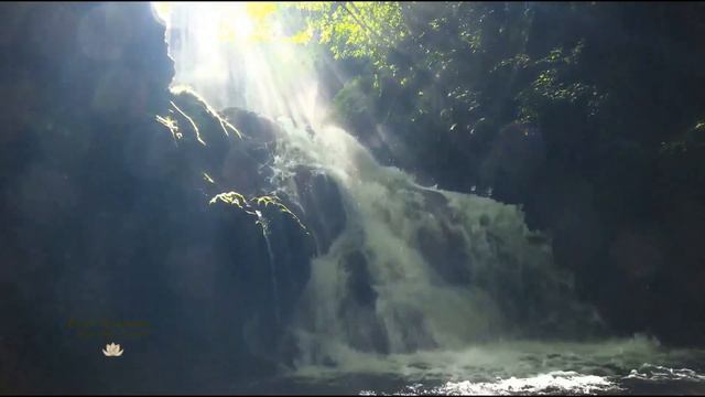 Светлое пробуждение - ЖанМарк Штале смотреть онлайн