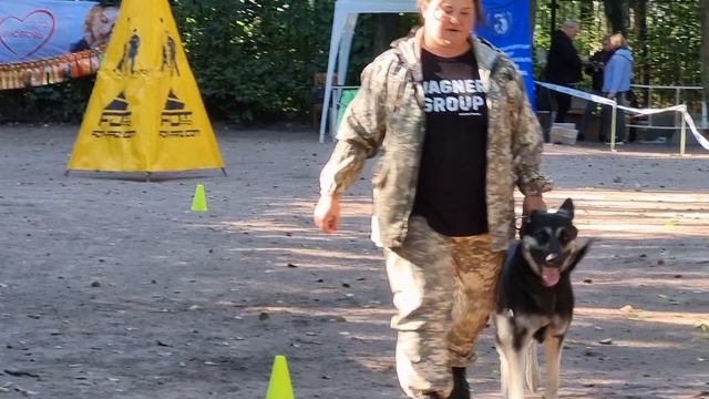 Зена из Невского Десанта ПРК ЦВЕО 21.09.24 смотреть онлайн