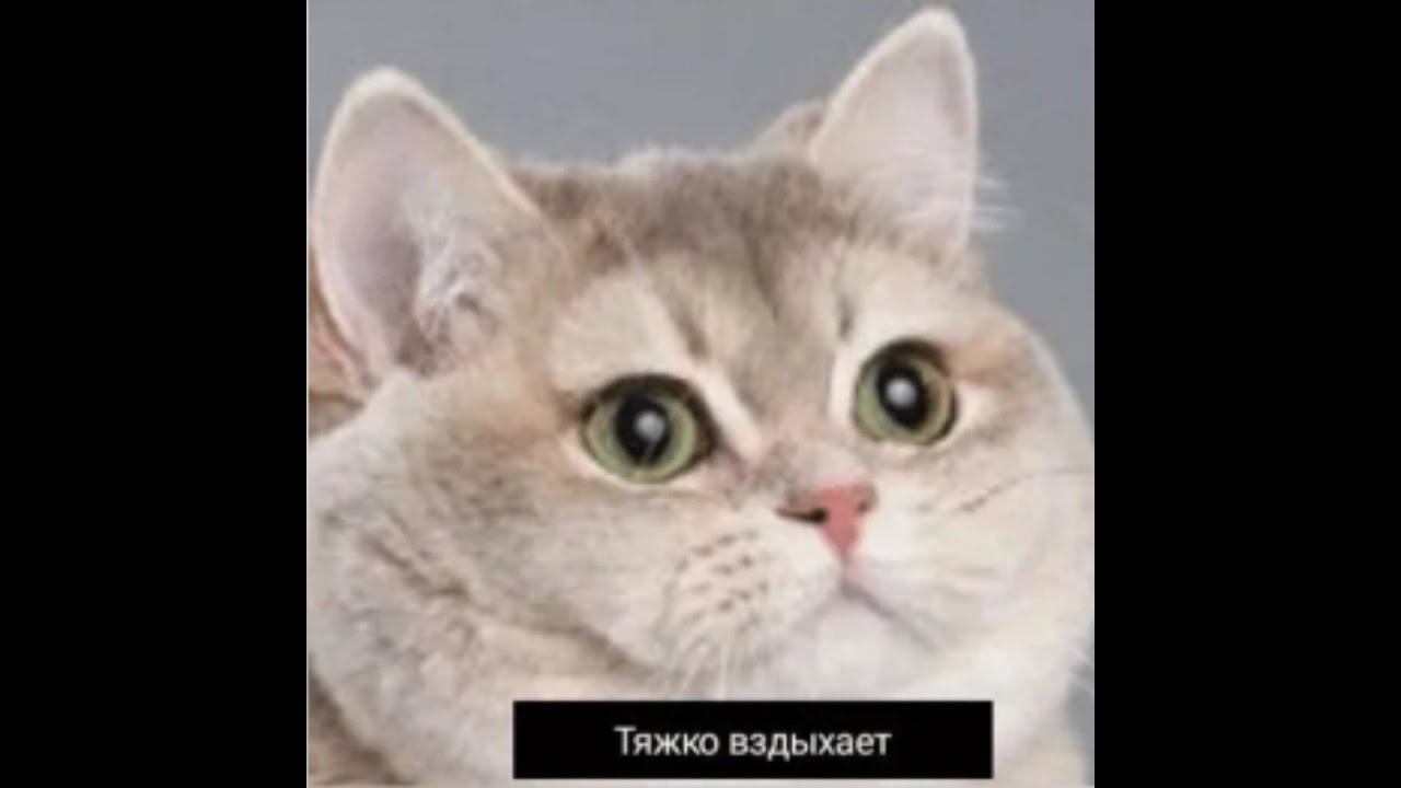 СЛУШАЕМ МУЗЫКУ И БООООЛТАЕМ смотреть онлайн