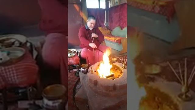 03 05 2020 Хаван Здоровье смотреть онлайн