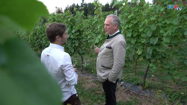 Auch die heimischen Winzer leiden unter Teuerung – Walter Rosenkranz besucht ein steirisches Weingu смотреть онлайн