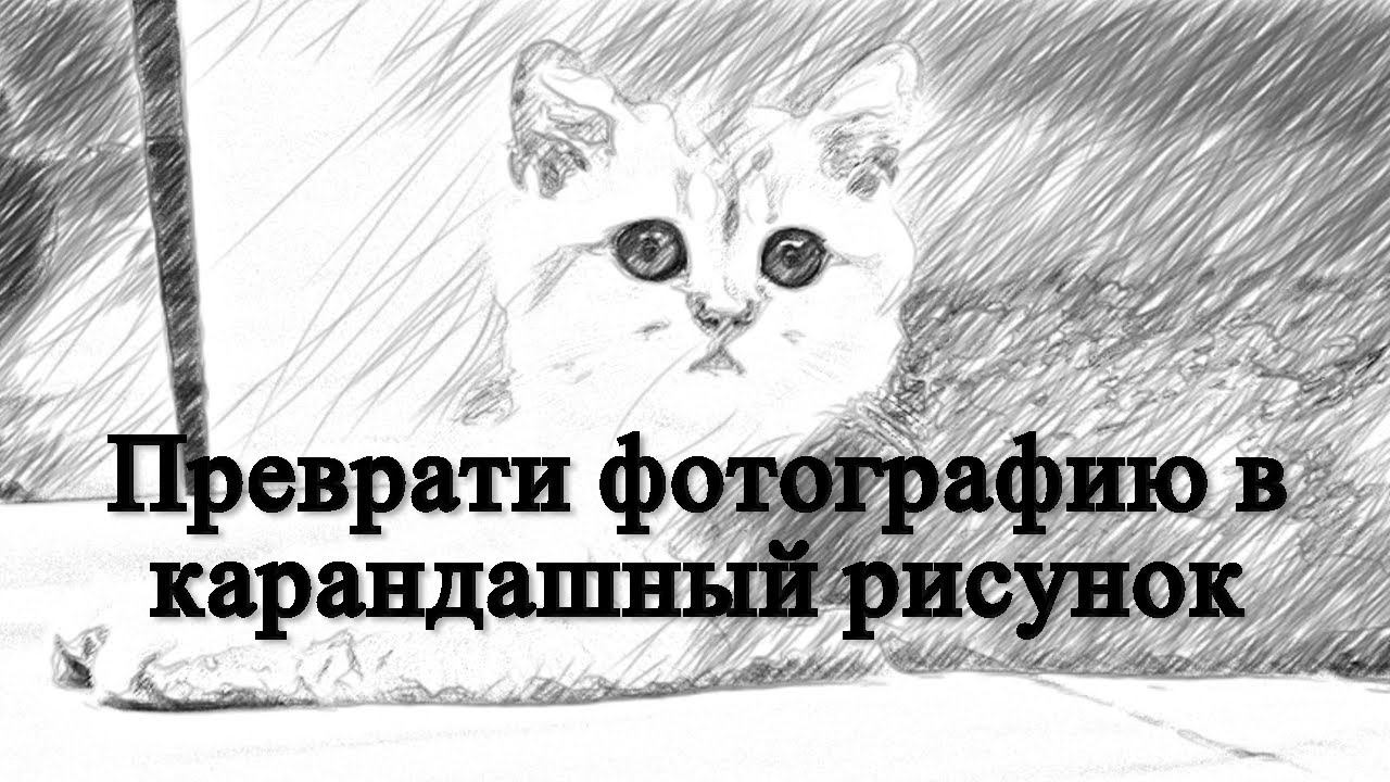 Преврати любую фотографию в карандашный рисунок смотреть онлайн