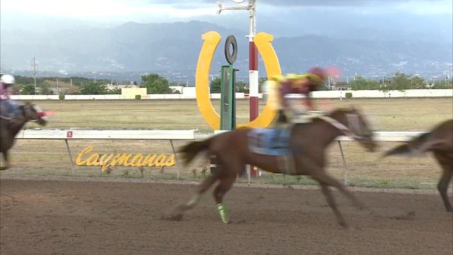 CALCULUS - DANE NELSON - 14MAR2021 смотреть онлайн