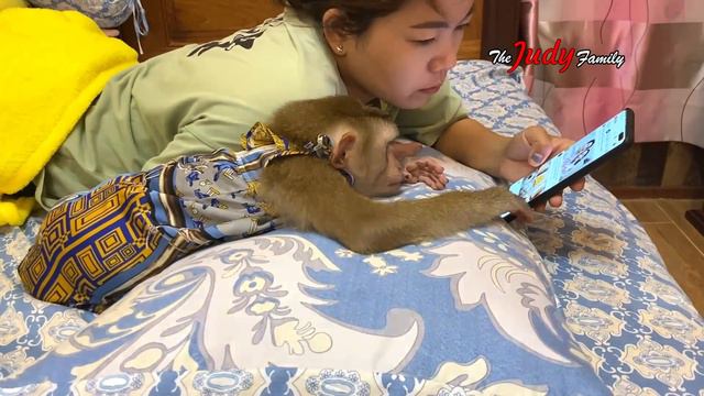 Geeeez..! Judee Watchinq Phone Till Fall AsIeep смотреть онлайн