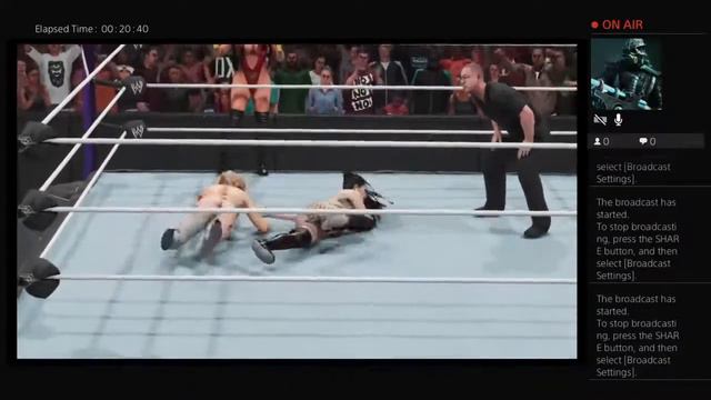 WWE Lingerie Divas Match
