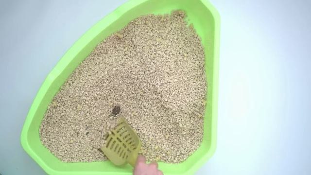 Los 12 ERRORES más comunes en la CAJA DE ARENA (según los expertos) смотреть онлайн
