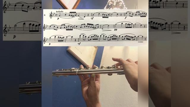 Marcel Moyse 24Little Melodic Studies No.6