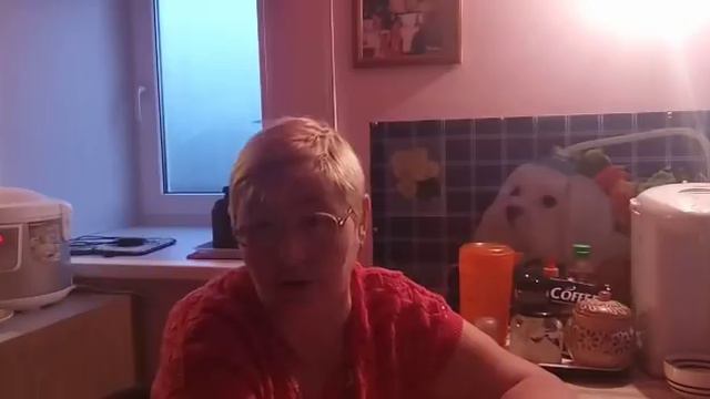 Идём в Китай город.Покупки. Готовим и общаемся. смотреть онлайн