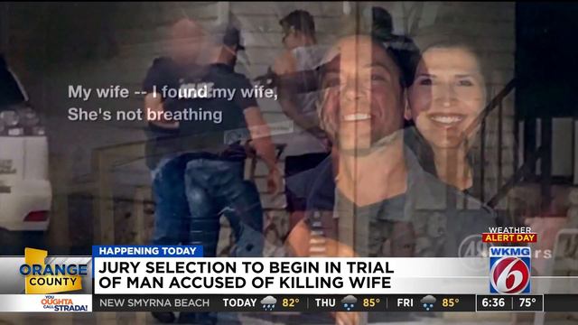 Murder trial begins for David Tronnes, man accused of strangling his wife in Orlando смотреть онлайн