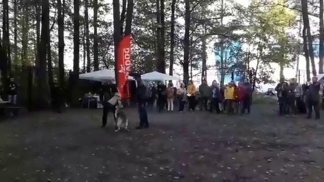 Задержание .Барвиттера Иберия.ЦВЕО смотреть онлайн