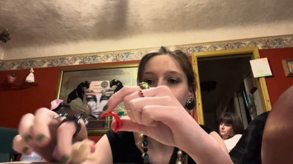 Calico critter unboxing 🐻🐱🐰