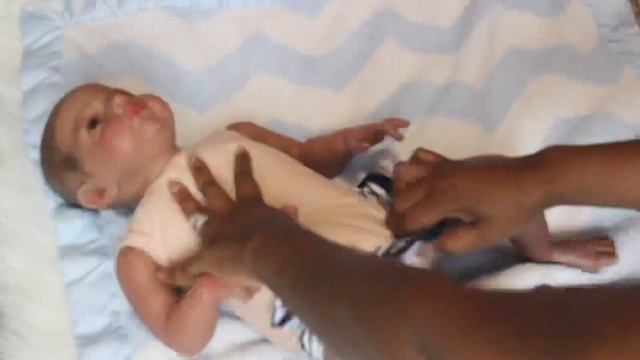 Doll Reveal Icradle Biracial Reborn From Amazon