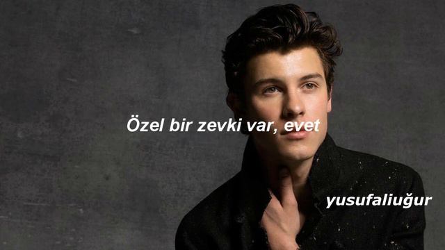 Shawn Mendes-Particular Taste (Türkçe Çeviri) смотреть онлайн