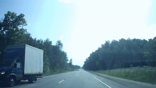 Лосёнок выбежал на дорогу. Лось выбежал на дорогу смотреть онлайн