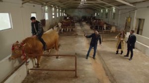 Kuzey Yıldızı İlk Aşk 13. Bölüm En Komik Sahneler - Kuzey Yıldızı İlk Aşk