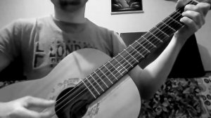 Was wollen wir trinken на гитаре