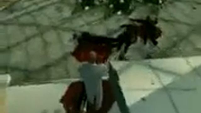 Hitman концовка смотреть онлайн