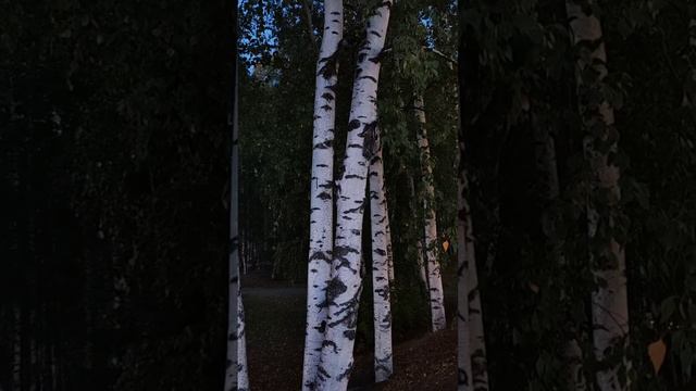 Призываю гулять. Выгорание уходи!