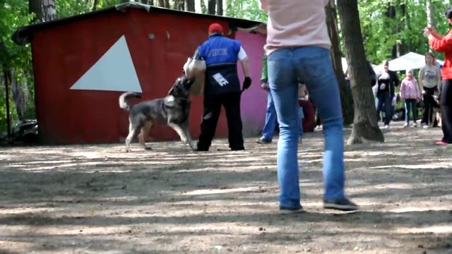 2 пуск Джобе смотреть онлайн