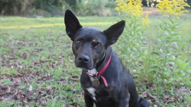 Tonks - October 2014 смотреть онлайн