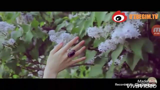 Турк музик+дагестанский клип (Turk Musik+ Dagistaniski Kilip)