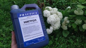 Нигрол обзор