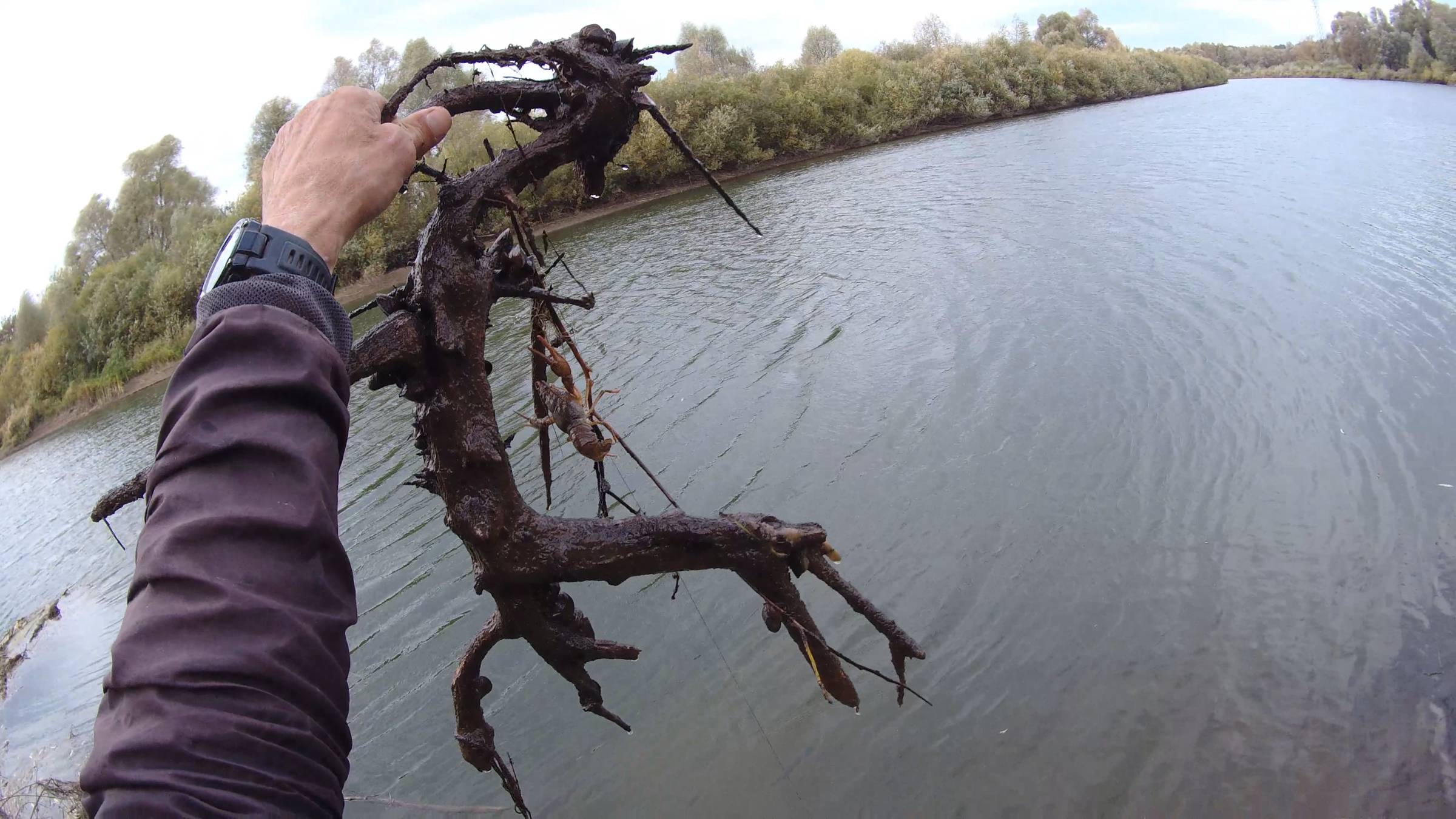 Аквариум смотреть онлайн