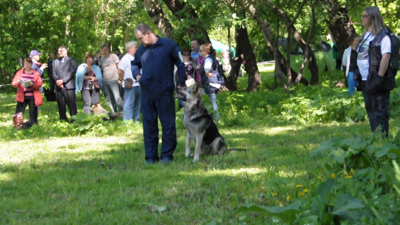 ЖЕССИКА из НОВОЙ ИМПЕРИИ смотреть онлайн