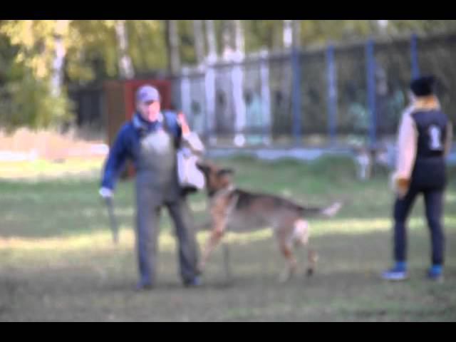 Марсель. смотреть онлайн