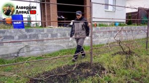 Обрезка винограда от Алверцяна.mp4