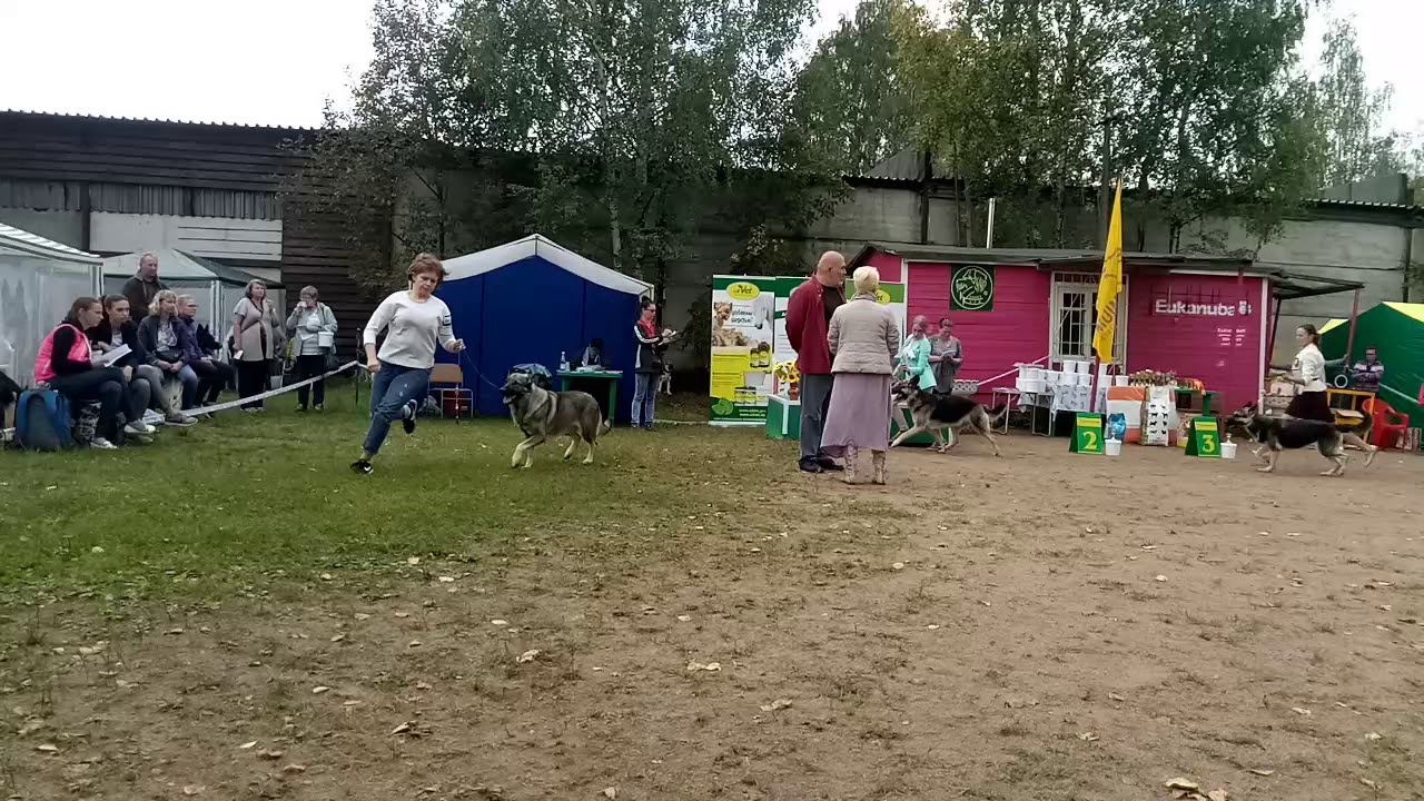 Класс Победителей ЧК смотреть онлайн