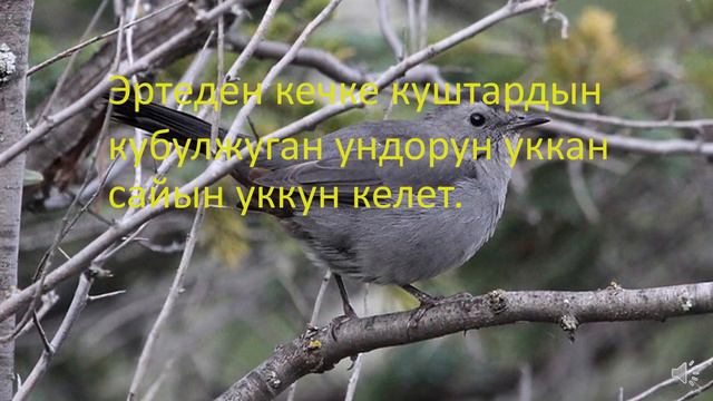 КЫРГЫЗ ТИЛИ. 4 КЛАСС. 91 САБАК. МАЙ АЙЫ . смотреть онлайн