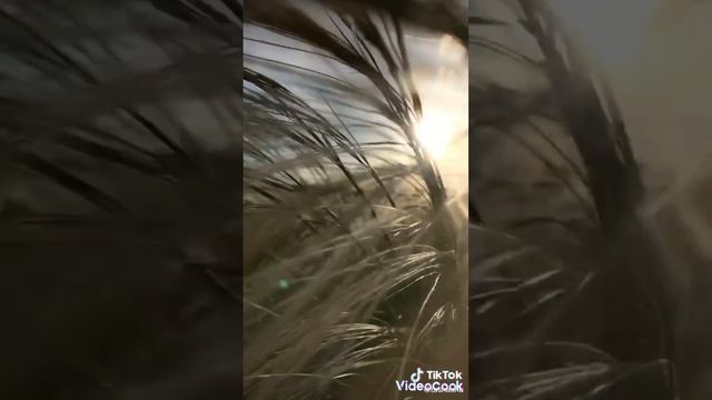 мы эхо смотреть онлайн