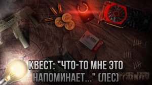 Escape from Tarkov / Тарков # Скупщик КВЕСТ: «Что-то мне это напоминает ... « (Лес)