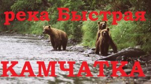 Камчатка 6 часть. Медведи. Рыбалка. Сплав по реке Быстрая 3 серия!