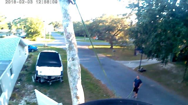 Topping Crape Murtle's смотреть онлайн