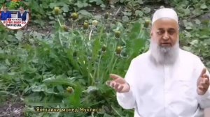 ХОЧИ МИРЗО 2023 НАВ - ДАРДНОКТАРИН КИССА, ДИЛАТОН ОБ МЕШАВАД