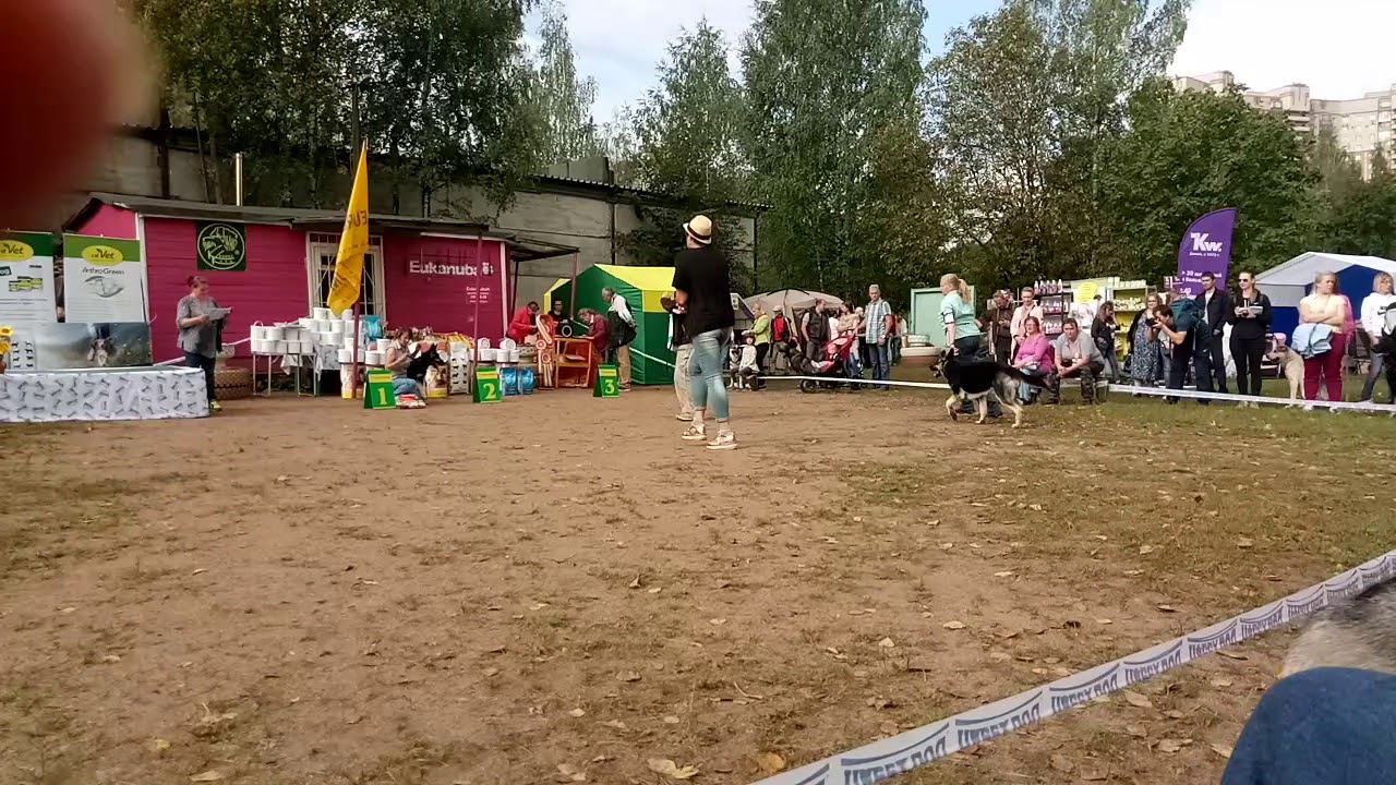9 сентября 2018 г. смотреть онлайн