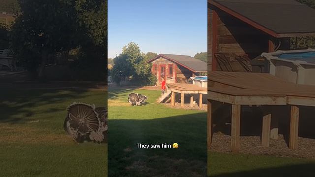 прикол смотреть онлайн