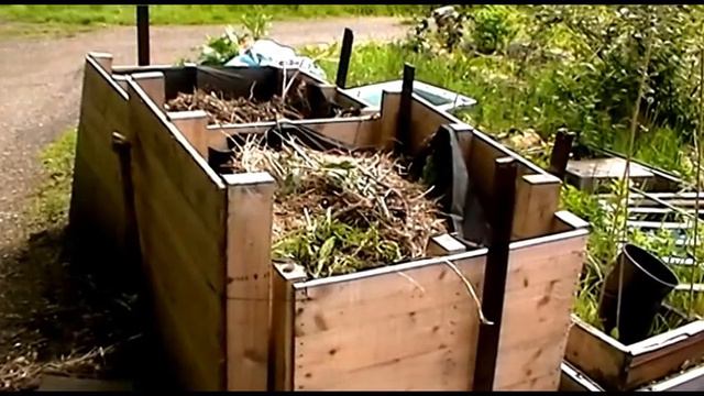 Allotment Diary - 25th May - Mares Tail, Square Foot Garden and Everything Is Growing! смотреть онлайн