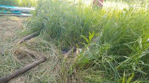 ШКОЛЬНИКИ ПОСТРОИЛИ НАСТОЯЩИЙ ДОМ! часть 2