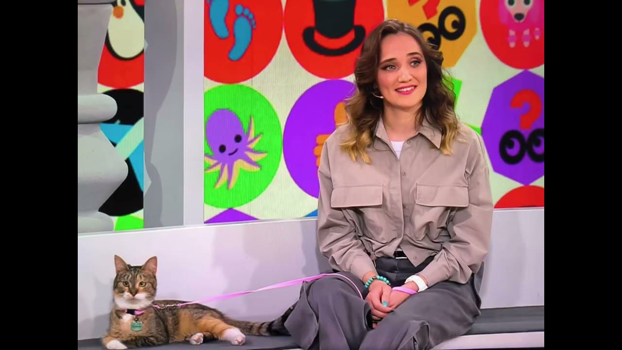 Мы с кошкой на съемках передачи Видели видео на первом канале