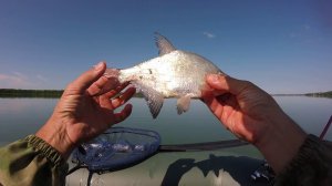 Рыбалка с лодки на фидер лещ карась.Новотроицкое водохранилище.