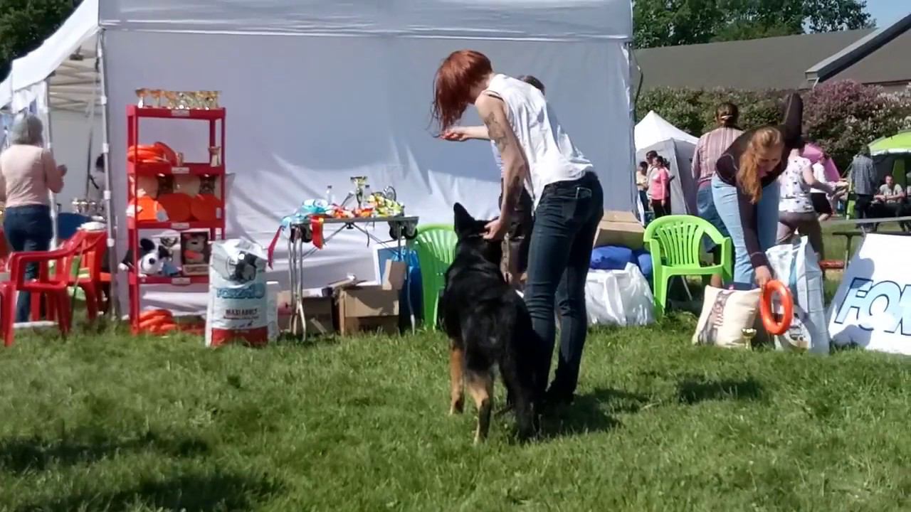 Северная Застава Линда смотреть онлайн