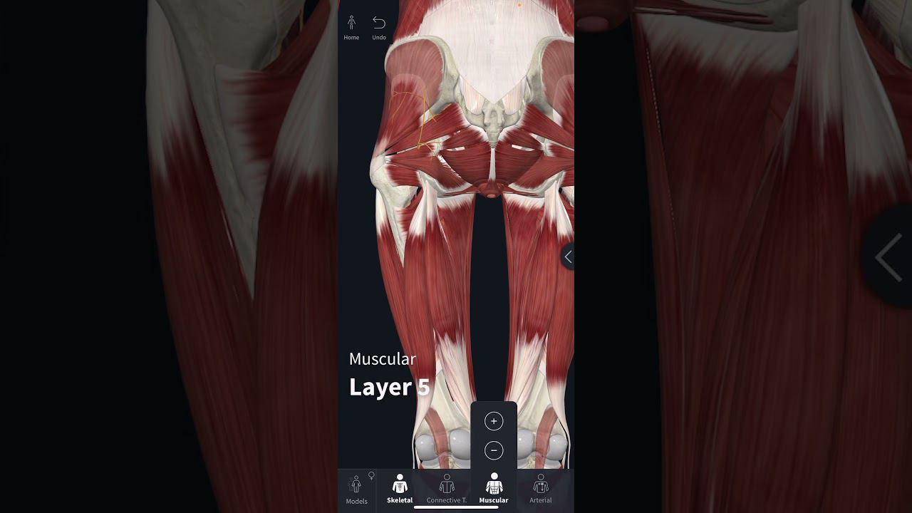 Rutube_account_20671898