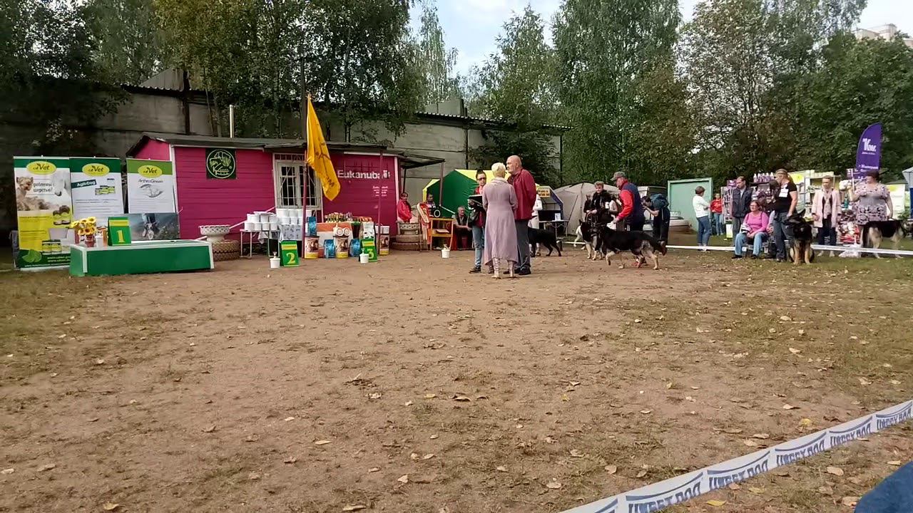 Антарес смотреть онлайн