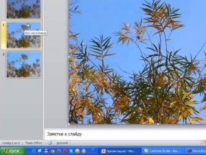 Как улучшить качество слайда в программе Power Point