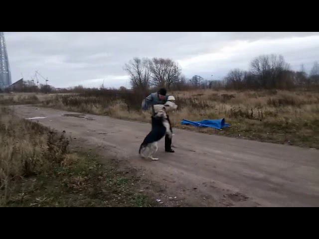 НАЙГУР 1 пуск смотреть онлайн